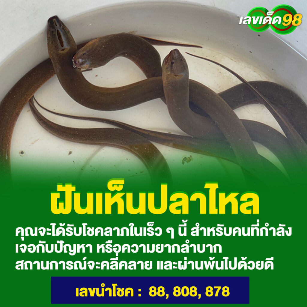ฝันเห็นปลาไหล