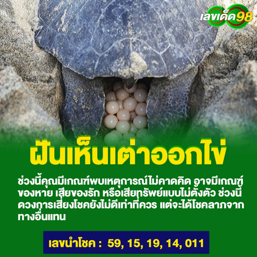 ฝันเห็นเต่าออกไข่