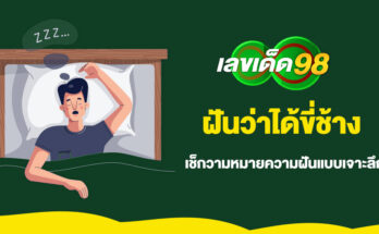 ฝันว่าได้ขี่ช้าง