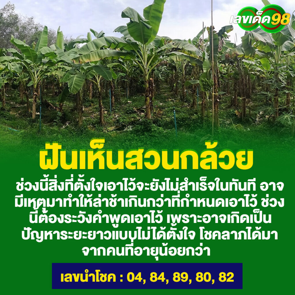 ฝันเห็นสวนกล้วย