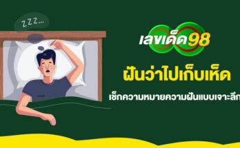 ฝันว่าไปเก็บเห็ด