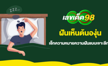 ฝันเห็นต้นองุ่น
