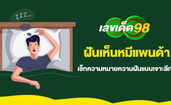 ฝันเห็นหมีแพนด้า