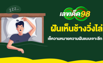 ฝันเห็นช้างวิ่งไล่