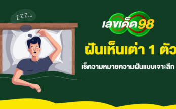 ฝันเห็นเต่า 1 ตัว