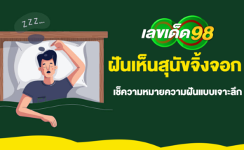 ฝันเห็นสุนัขจิ้งจอก