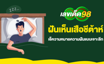 ฝันเห็นเสือชีต้าห์