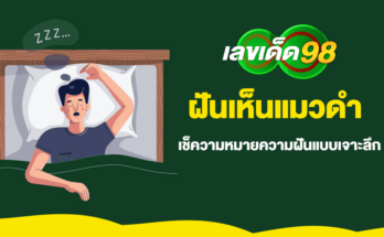 ฝันเห็นแมวดำ
