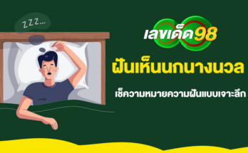 ฝันเห็นนกนางนวล